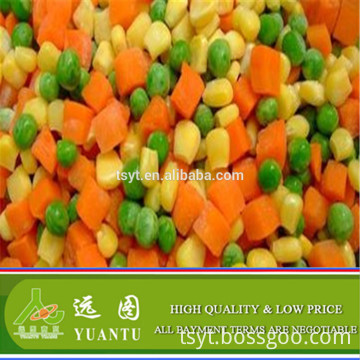 Frozen Mixed Vegetables From New Crop Fresh Vegetables and New Processed